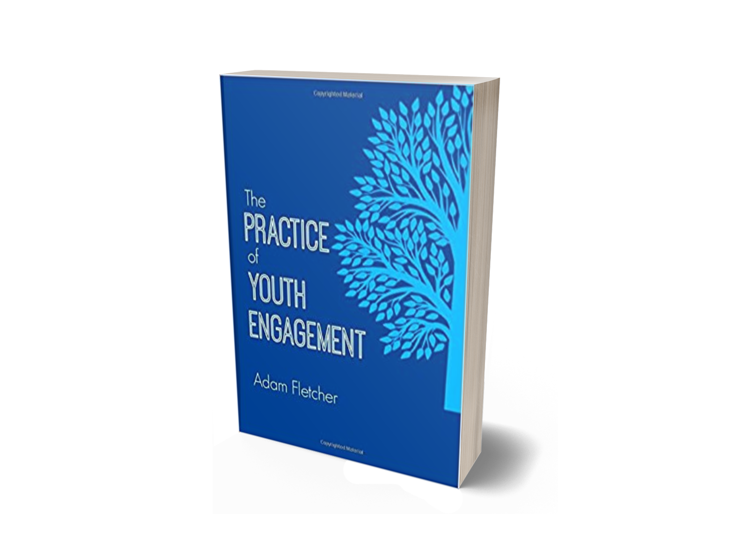 Positive Youth Engagement (2014) Adam F.C. Fletcher